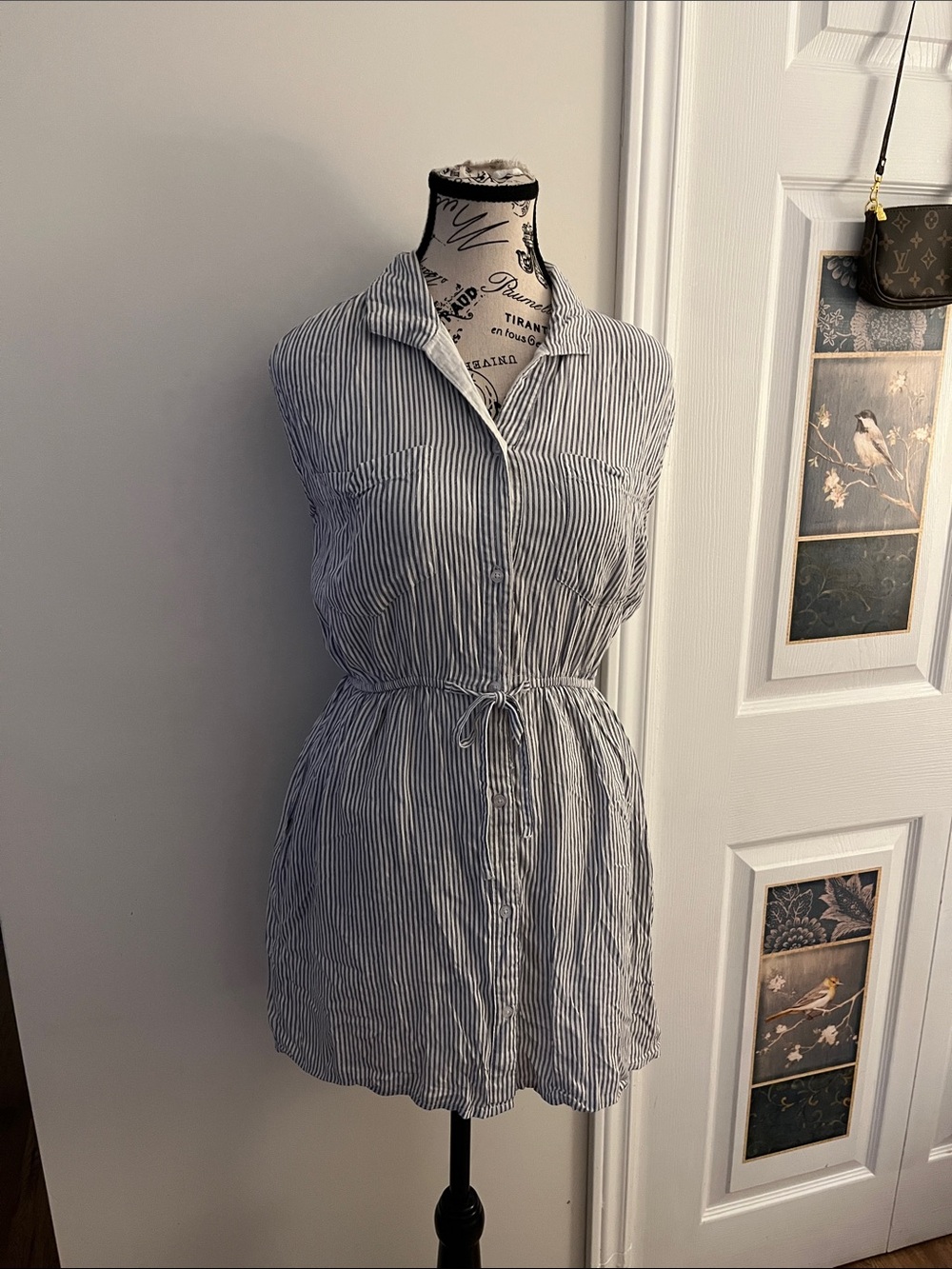 Japna Sleeveless Striped Button-Front Cover-Up in Blue and White